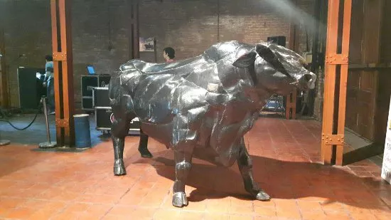 Toro