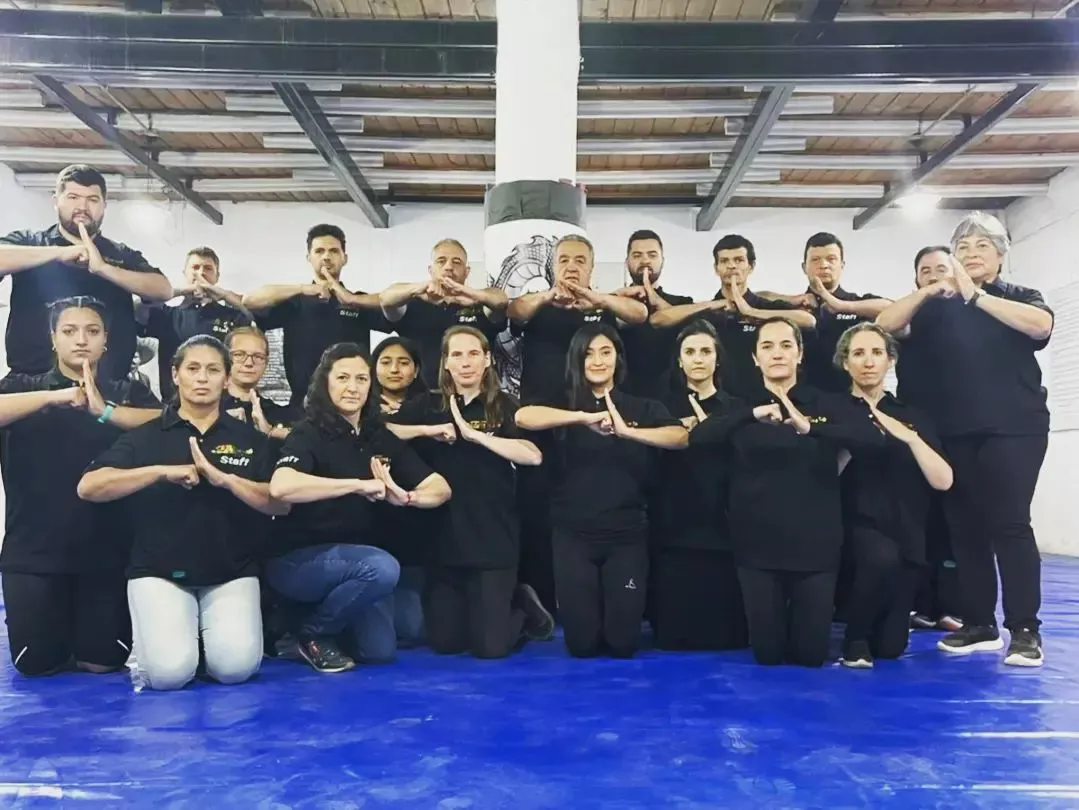 Federación Shaolin Tao de Kung Fu Wushu