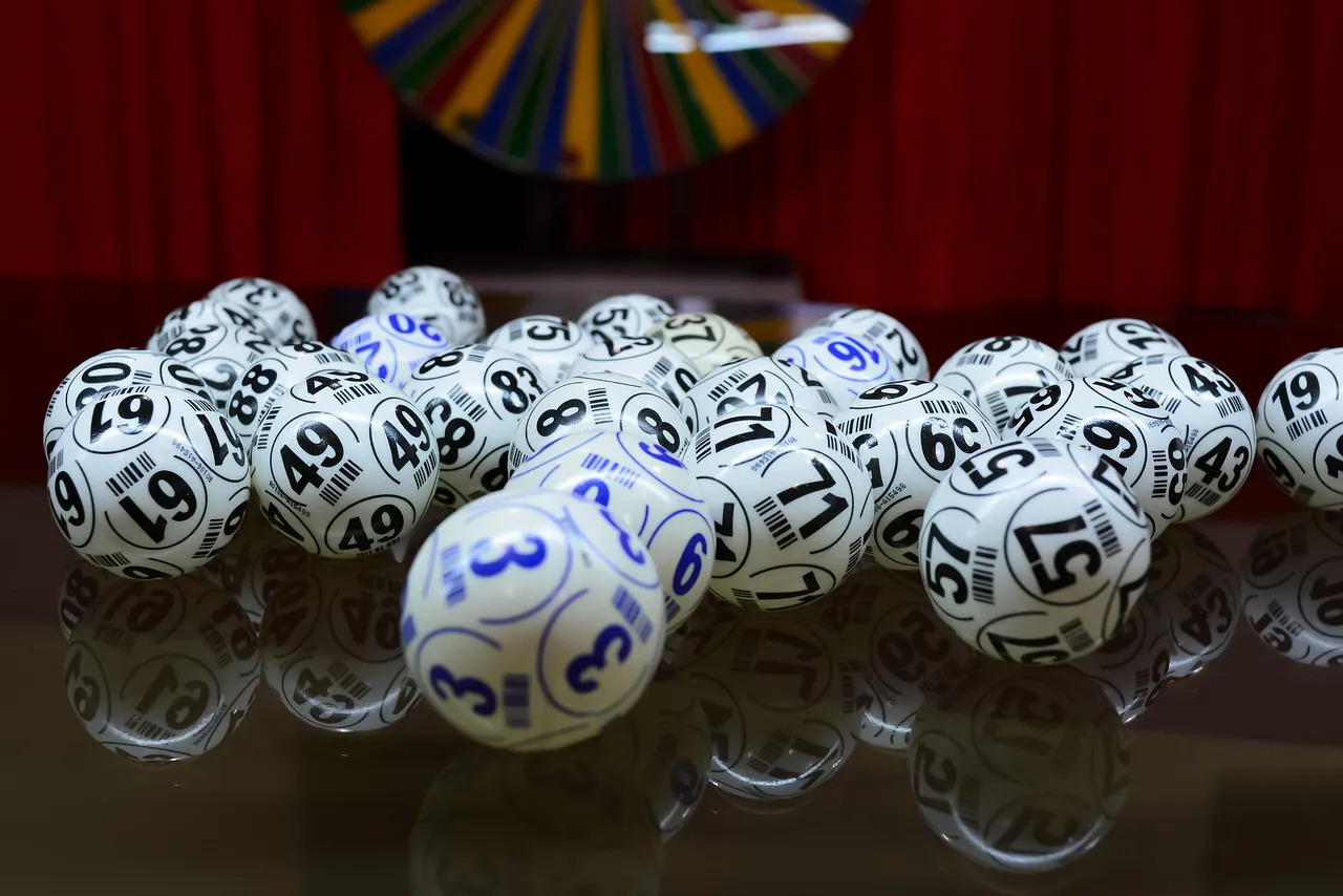 Bingo - lotería
